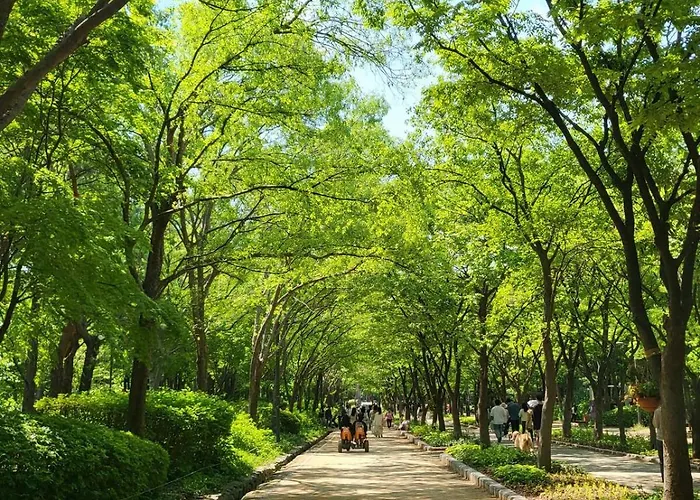 아파트 #seongsu #seoul-forest #han-river #queen-bed *