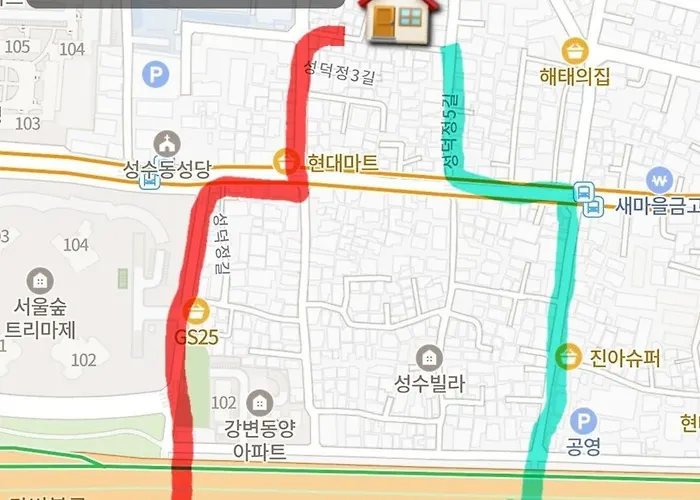 아파트 #seongsu #seoul-forest #han-river #queen-bed 서울특별시